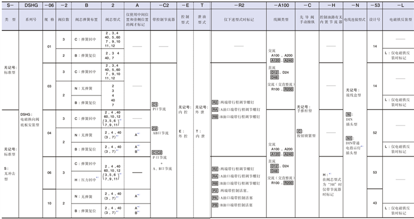 DSHG型號(hào)說(shuō)明